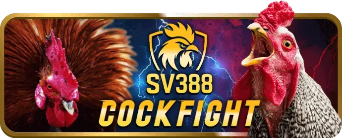 Bước 2: Điền thông tin đăng ký